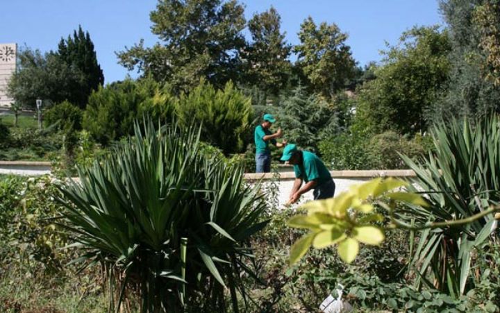 Dövlət qurumundan Palataya cavab