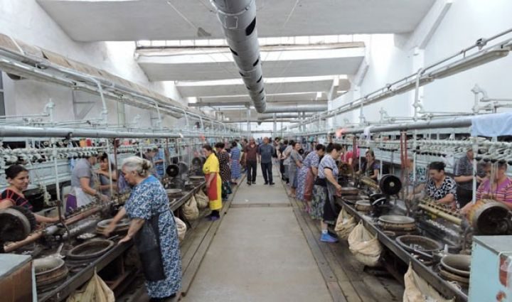 Azərbaycanda yeni ipək kombinatı yaradılacaq