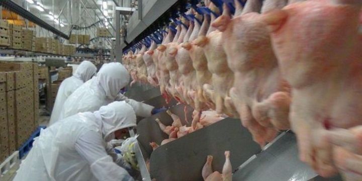 Banviti sevindirən xəbər - SƏHMLƏRİ REKORD SƏVİYYƏYƏ QALXDI