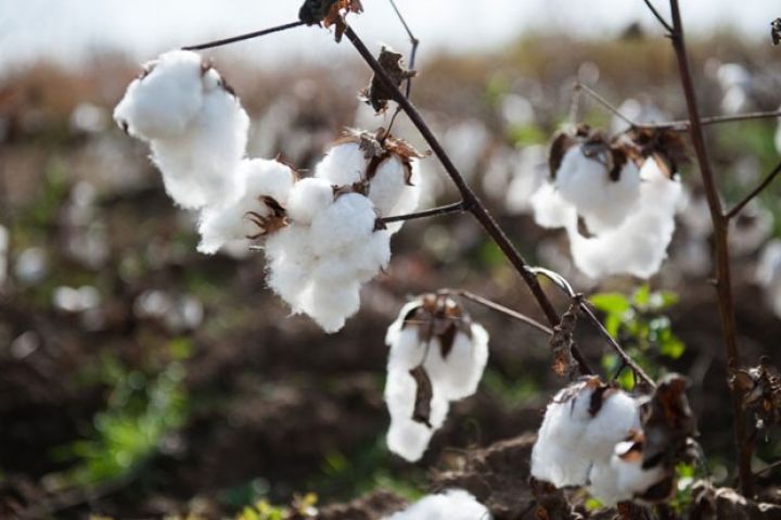 202 min tonu da keçdi