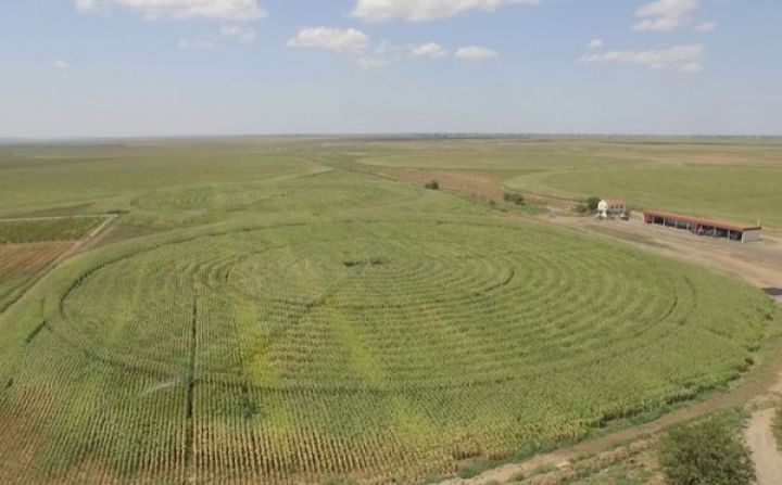 1000 hektar sahədə aqropark yaradılır