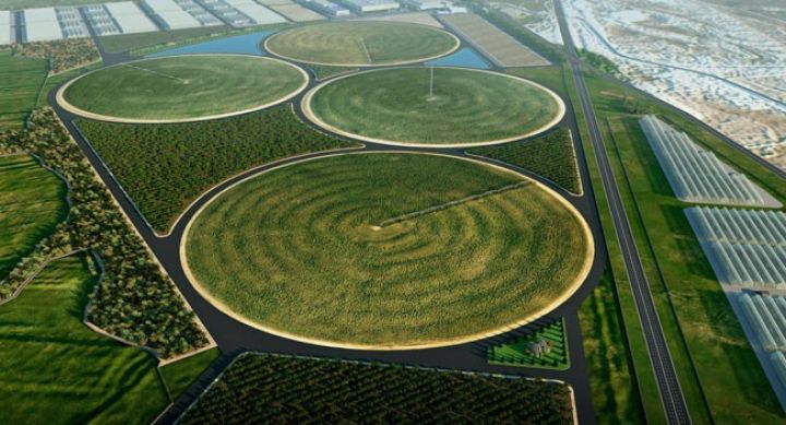 Kənd Təsərrüfatı Nazirliyinin tabeliyində yeni qurumlar yaradılıb