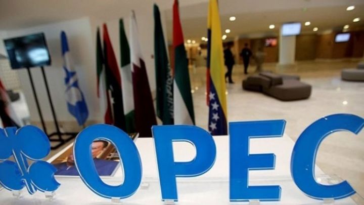 OPEC-in neft hasilatı azalıb