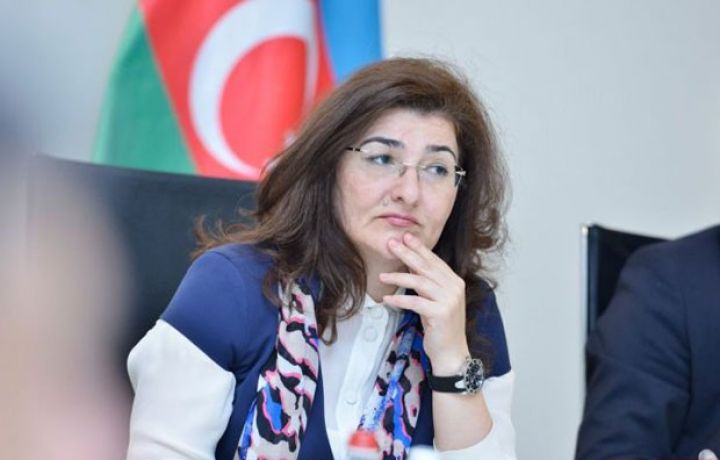 "Tədiyyə balansının müsbət saldosunun bu ildəkindən də yüksək olacağını gözləyirirk"