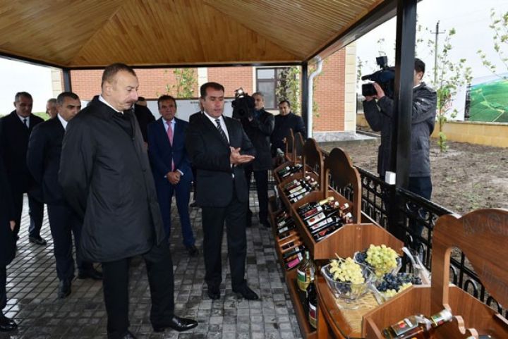 Prezident “Az-Qranata”-nın üzüm bağlarında