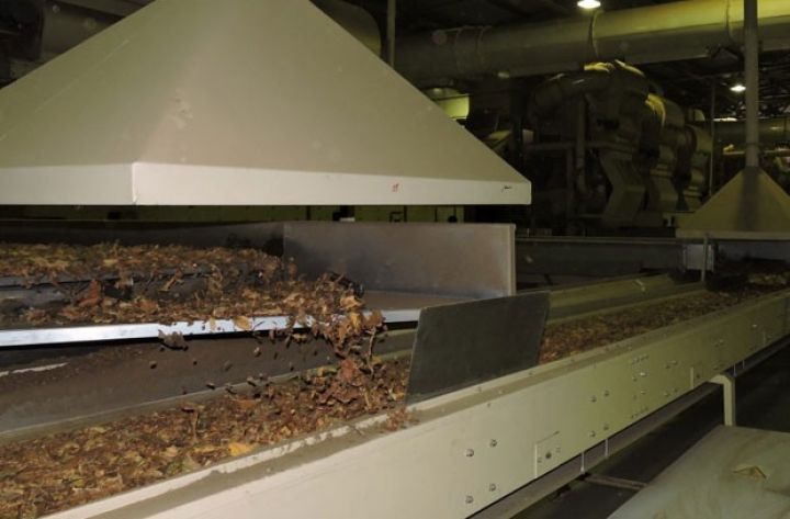 “Azərtütün” yeni istehsal və emalı məntəqəsini yaradacaq