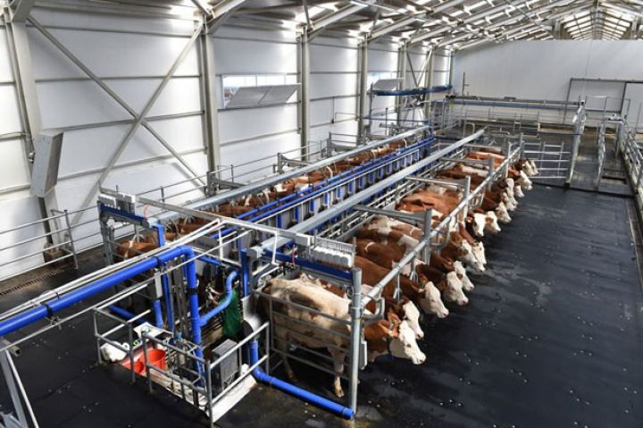 Bu aqropark 10 milyon manat investisiya qoyuluşu planlaşdırır