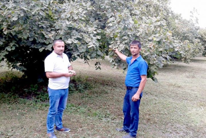 "Kəndli yaxşı yaşamaq istəyirsə, bir iş ilə qənaətlənməməlidir"