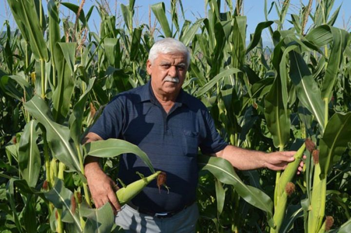 Alıcısı başının üstündədir