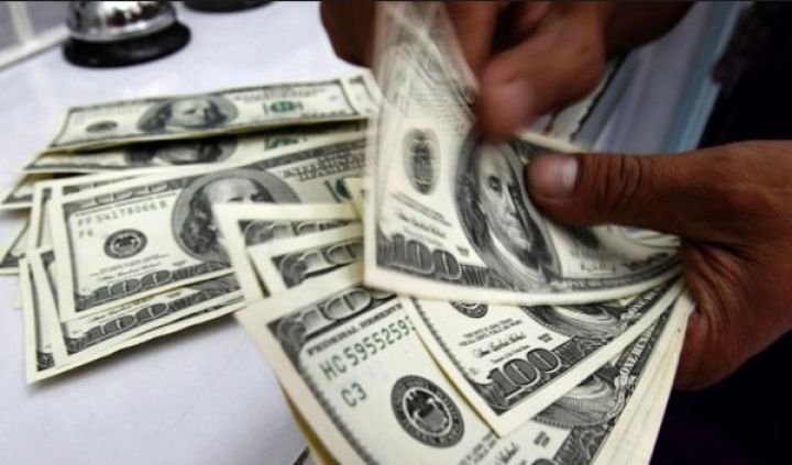 "Fed faiz artırmaqda səhv edir"