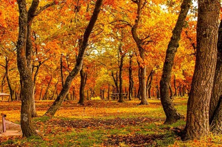 Oktyabr ayına olan hava proqnozu açıqlanıb