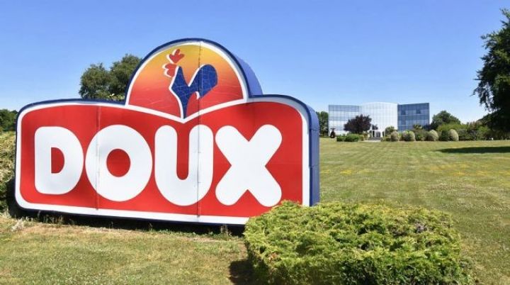 Toyuq ətində dünya nəhəngi iflas etdi!  