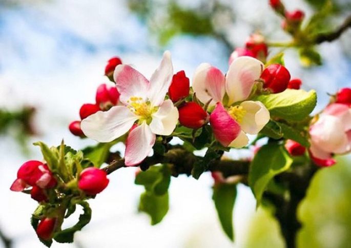Sabaha olan hava proqnozu açıqlanıb