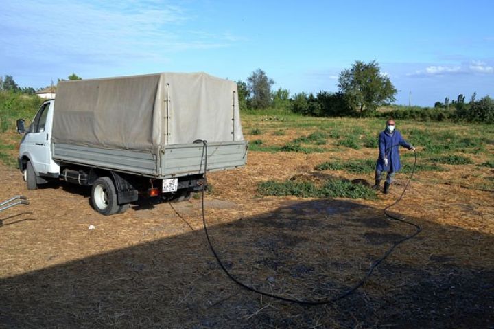 Dövlət Baytarlıq Xidmətindən rayonların icra başçılarına müraciət