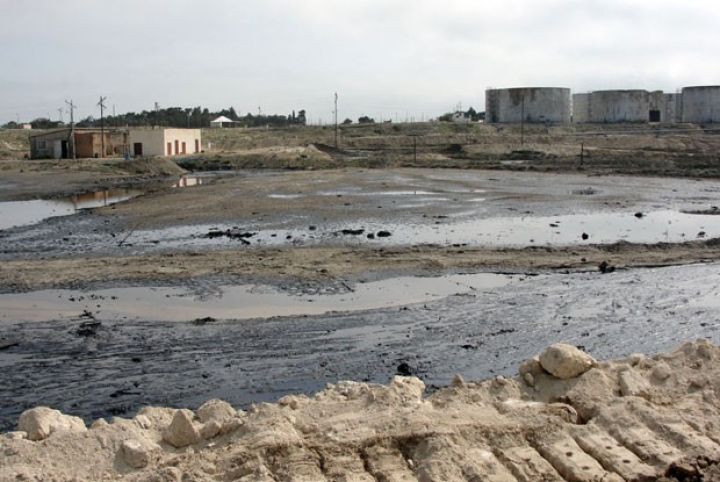 İtaliya şirkəti çirklənmiş ərazilər üzrə məsləhətçi oldu