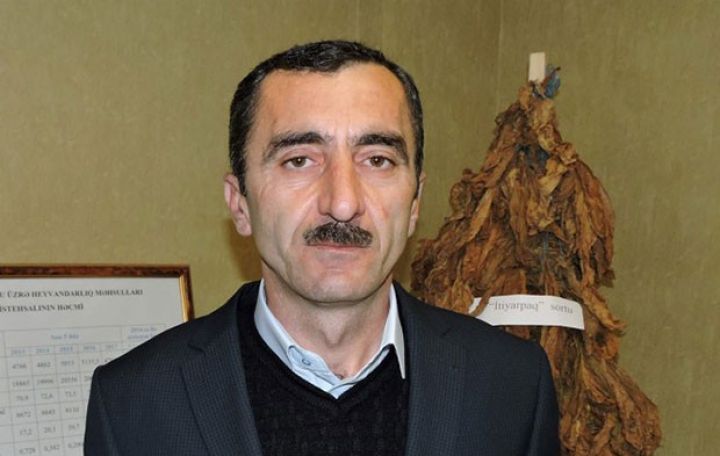 Tütündən 17 min manat gəlir götürən ailə