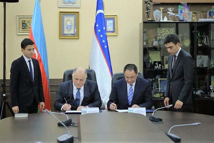 Məmməd Musayevin rəhbərlik etdiyi təşkilat Özbəkistanda anlaşdı