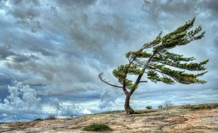 Külək davam edəcək