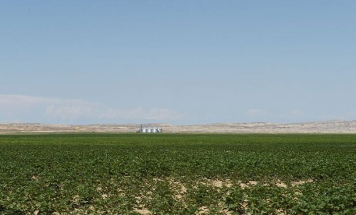 Daha bir aqropark yaradılıdı