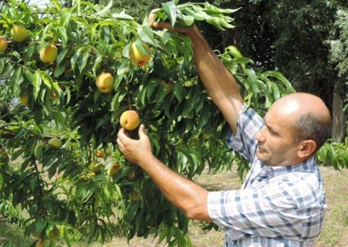"Müştəri sarıdan korluq çəkmirik”