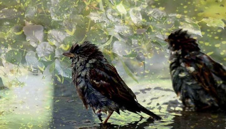 Sabaha olan hava proqnozu açıqlandı