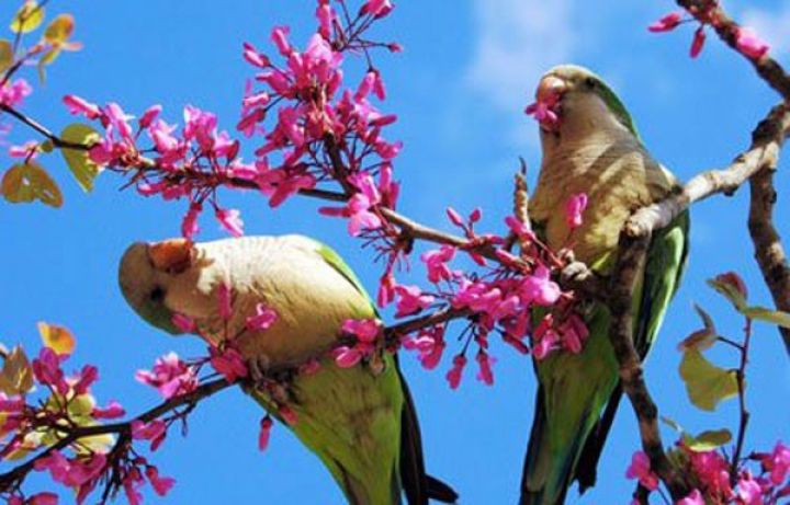 Sabaha olan hava proqnozu açıqlandı