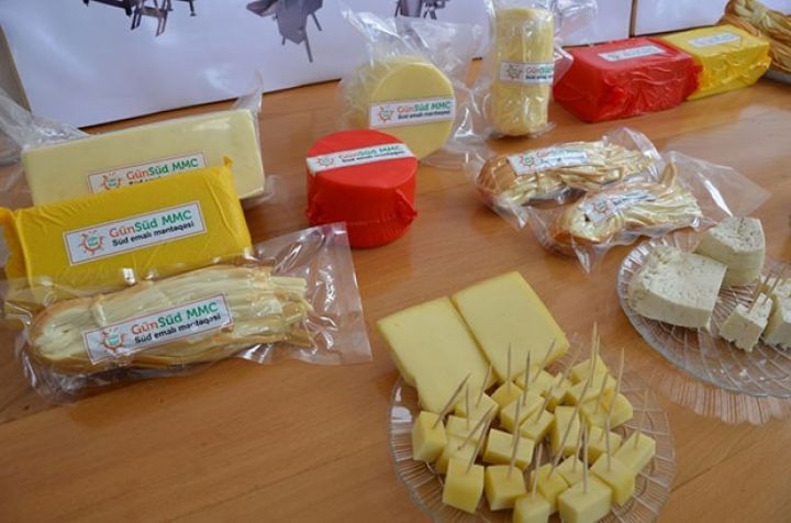 Sarı pendir istehsal edəcək müəssisə işə düşdü