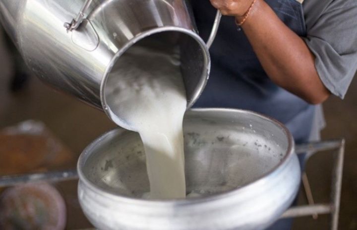 Küçə südü ilə mübarizə başlayacaq