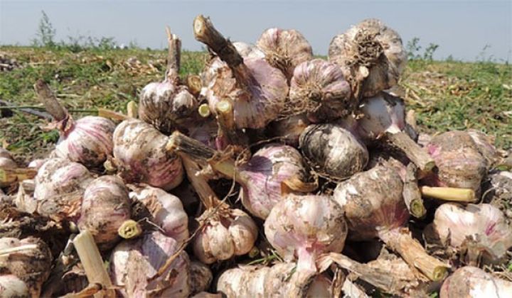 Yerində 1 manata satılır