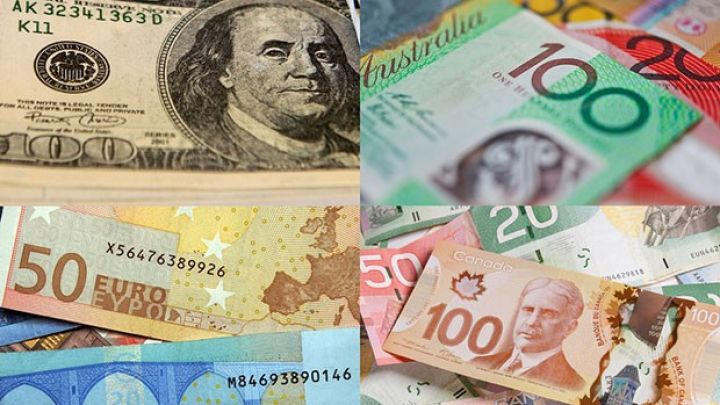 Avro və Türk Lirəsi ucuzlaşdı - Rəsmi məzənnələr  