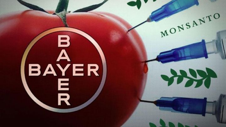 İri birləşməyə razılıq verildi - GMO daha da yayılacaq