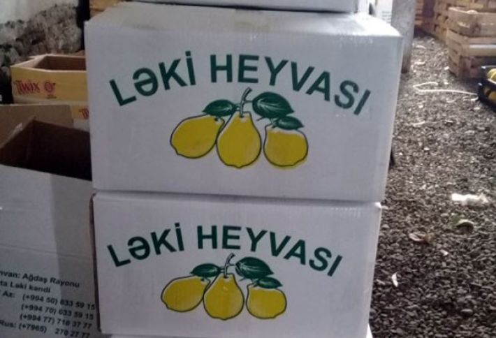 Ləkidən Rusiya bazarlarına göndərilir