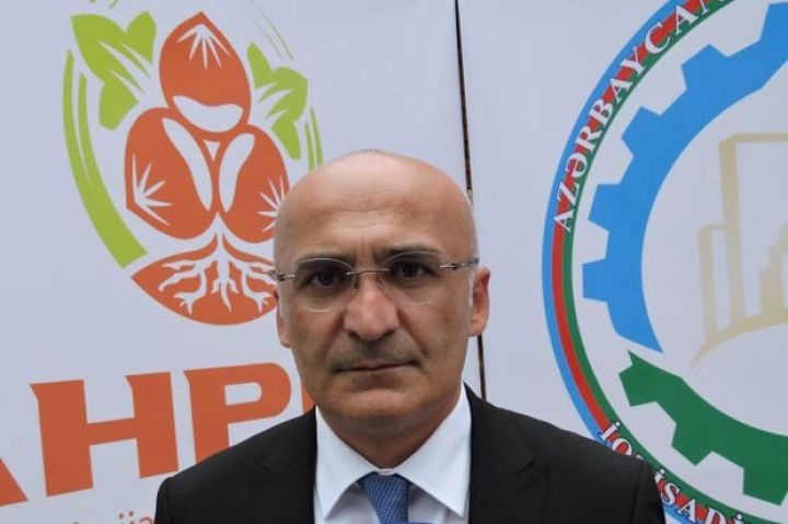 Fındıqda ixrac hədəfi açıqlandı