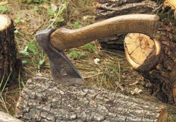 "Özü əkibsə belə, ağacı icazəsiz kəsmək olmaz"