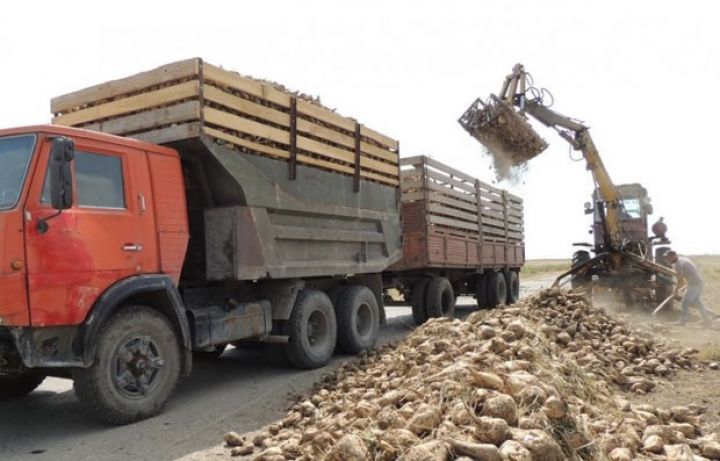 “Azərsun Holdinq” tonunu 53-75 manata alır