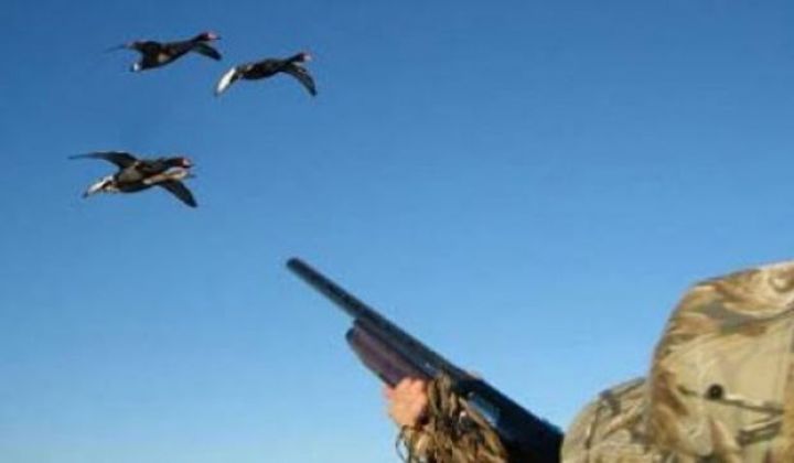 Azərbaycanda 3000 dollara quş ovu xidməti