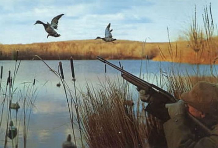 İcazəsiz ov edən xarici vətəndaşlar saxlanılıb - 2000 MANAT CƏRİMƏ