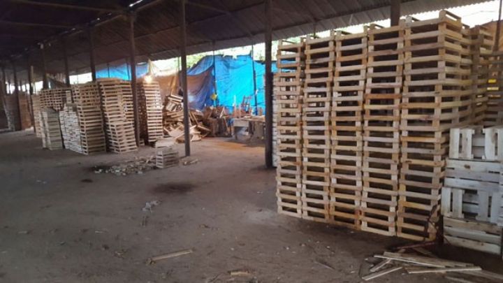 Ağac emalı sexinin sahibi cərimələnib