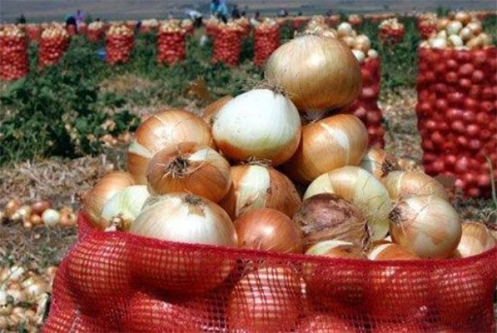 Soğan idxalı rüsumdan azad ediləcək, ixracına rüsum tətbiq ediləcək