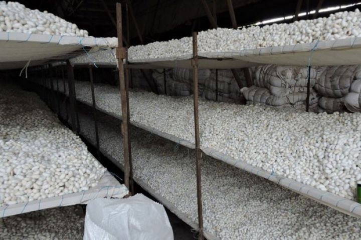 Baramaqurutma məntəqəsi tikiləcək