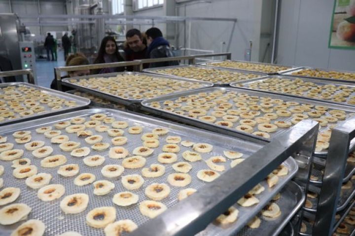 Quba almasından çipsi hazırlanır - "Moskva ilə bir milyon dollarlıq müqaviləmiz var"