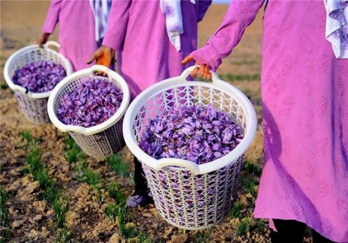 Dünyanın 12 ən bahalı vegetarian məhsulu - Azərbaycan 142,6 milyon dollar qazana bilər