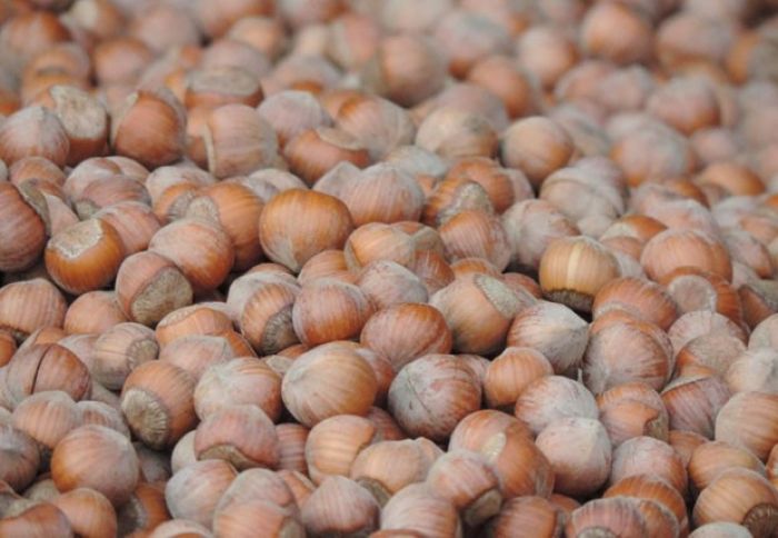 Fındıq ixracı 12,3% azalıb