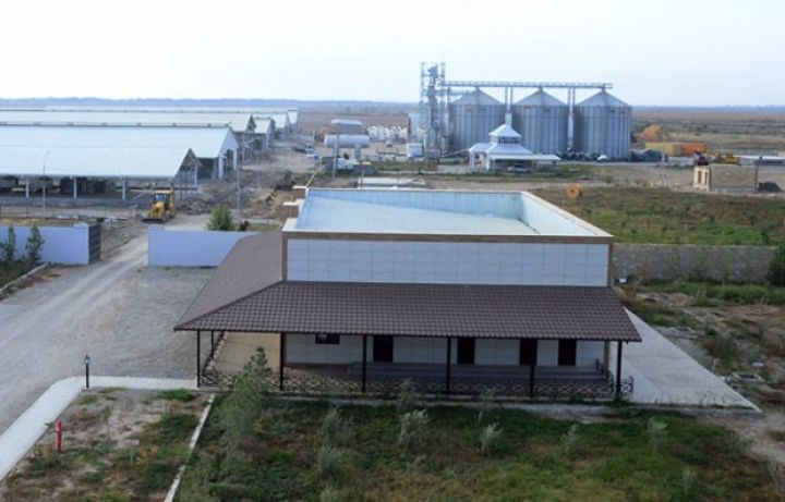 2 min baş inək, yem zavodu və toxum fabriki - YENİ AQROPARK TİKİLİR