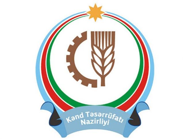 Nazirlik 4 qurumun ləğvi barədə məlumat yaydı