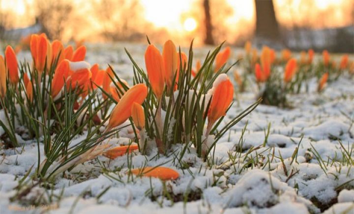 Sabaha olan hava proqnozu açıqlandı