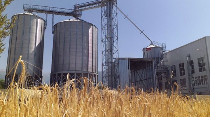 Şəkidə Toxum Emalı Zavodu fəaliyyətə başlayıb