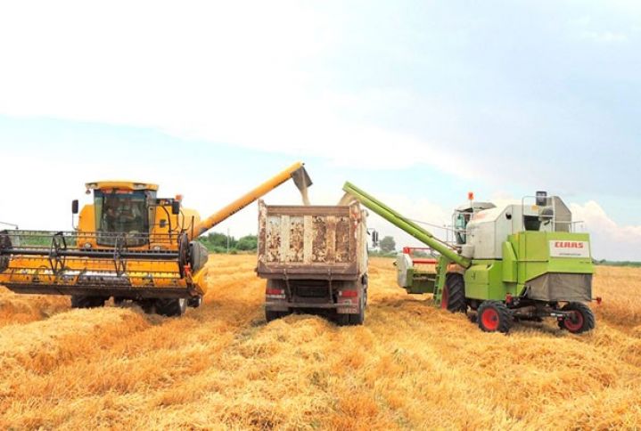 Kombaynların iri  təsərrüfatlara xidmət göstərdiyi iddia edilir