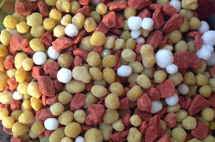 Azərbaycan Orta Asiya ölkələrinə biogübrələr ixrac edəcək