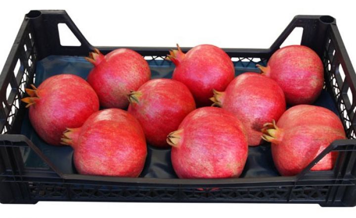 Avropanın bir sıra ölkələrinə nar ixracı ilə bağlı danışıqlar aparılır 